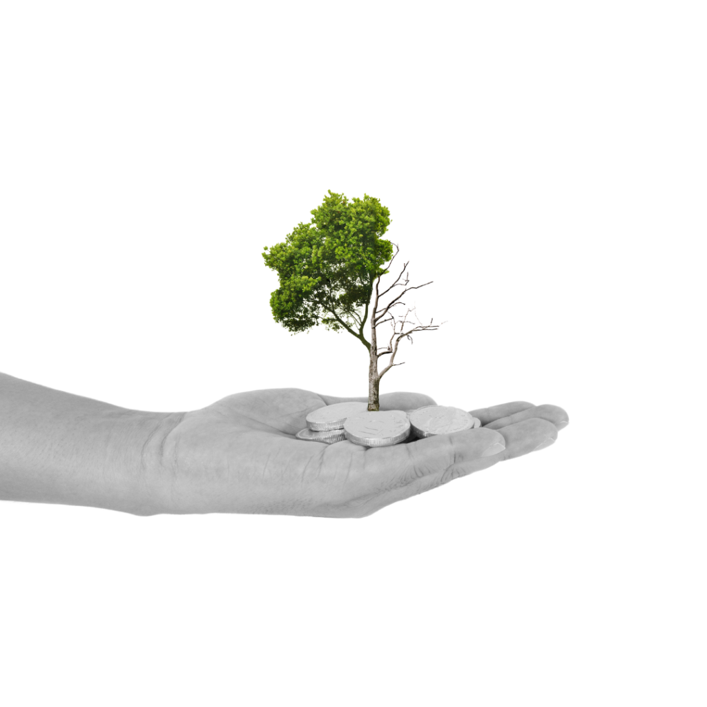 Hand holding coins growing into a tree representing growth attained throughEnglish language memberships