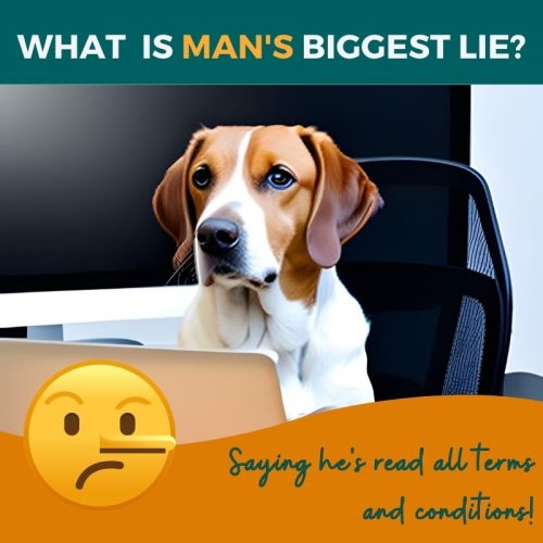 Website Terms and Conditions - Image of a dog in an office chair at a laptop