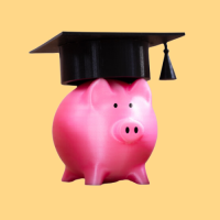 Pink piggy bank with graduation cap, symbolizing low-cost lifetime learning solutions.